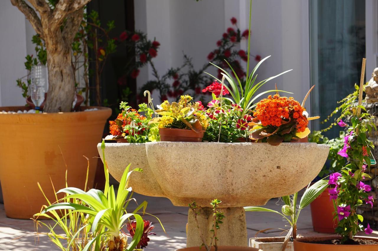 Los Arcos Villa Marbella Buitenkant foto